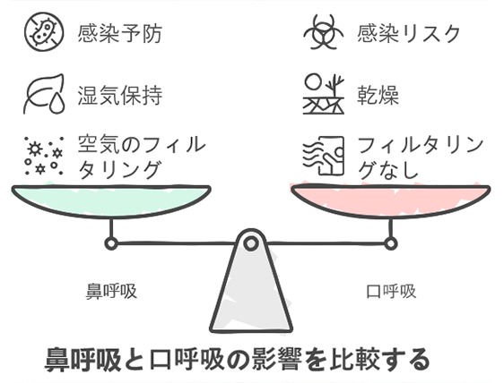 鼻呼吸と口呼吸の比較