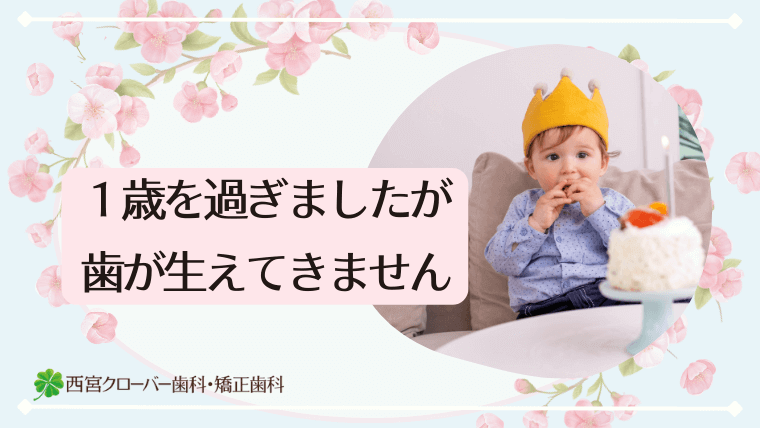 1歳を過ぎましたが歯が生えてきません